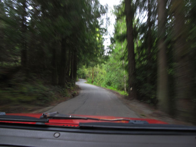 "Don't break down in the woods. Don't break down in the woods." Dangit. We broke down in the woods. Driving in the woods in Canada