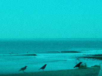 Empty Lineup Surf Topanga Point
