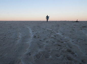 shutterbug surfing pictures