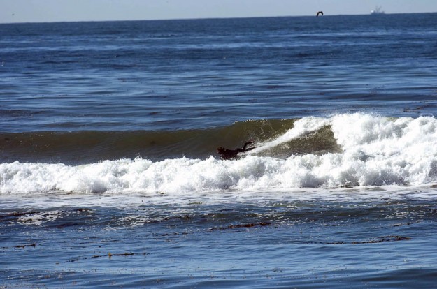 Mary Miills mat surf
