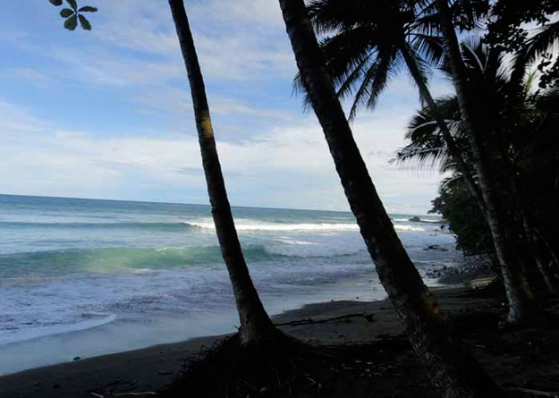 surfing somewhere near here...