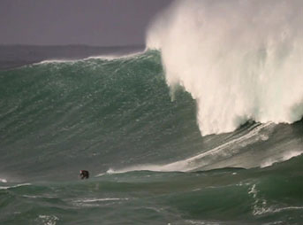 Jeff Rowley 500 foot wave albatross