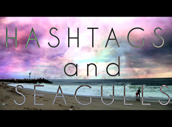 Hashtags and Seagulls