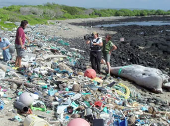 East Side Oahu Garbage Patch