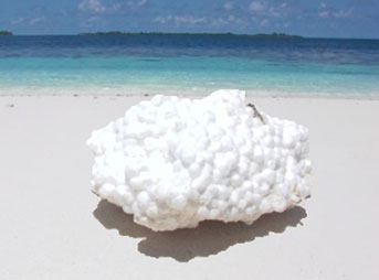 stryofoam on beaches