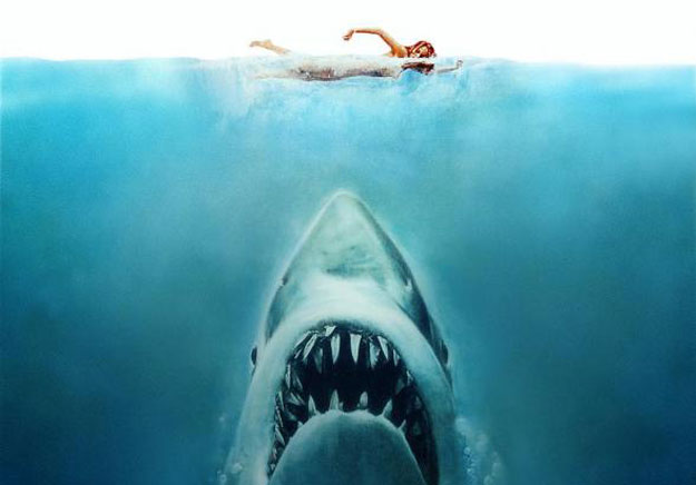Jaws-625 shark stories