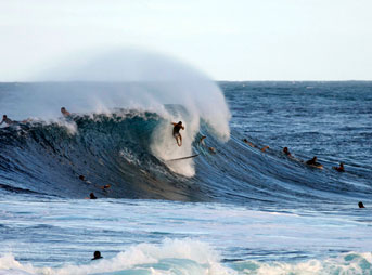 Wipeout at Pipeline