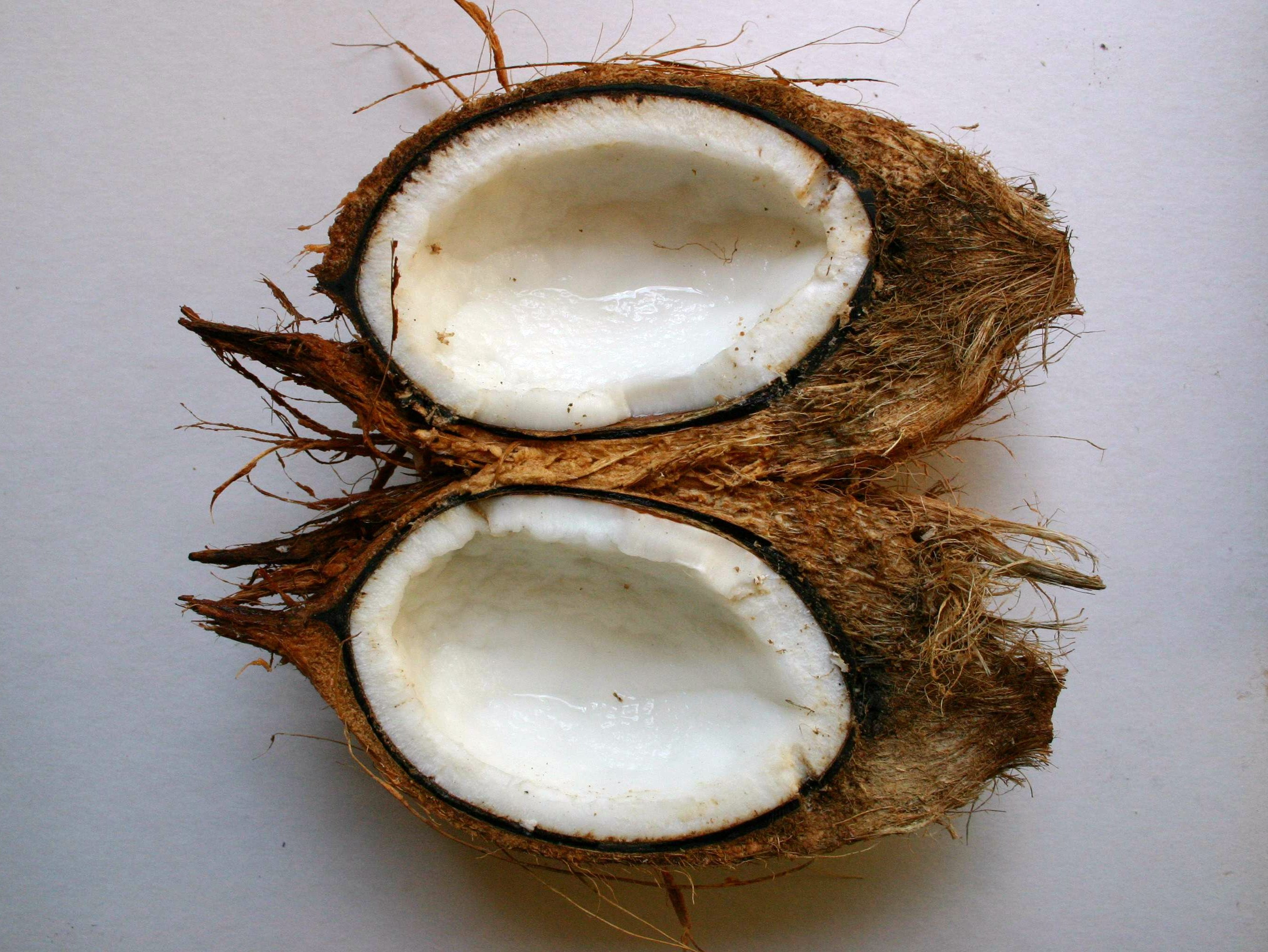 The magic of the coconut. Photo: Wikipedia