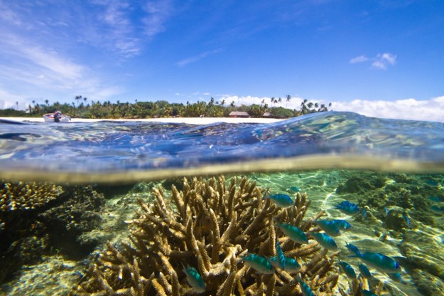 A new concept in surf philanthropy called Surf Credits is being launched at the Volcom Fiji Pro this week that helps surfers give back. Reef in Fiji