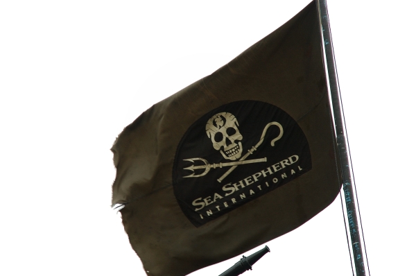 Sea Shepherd Flag