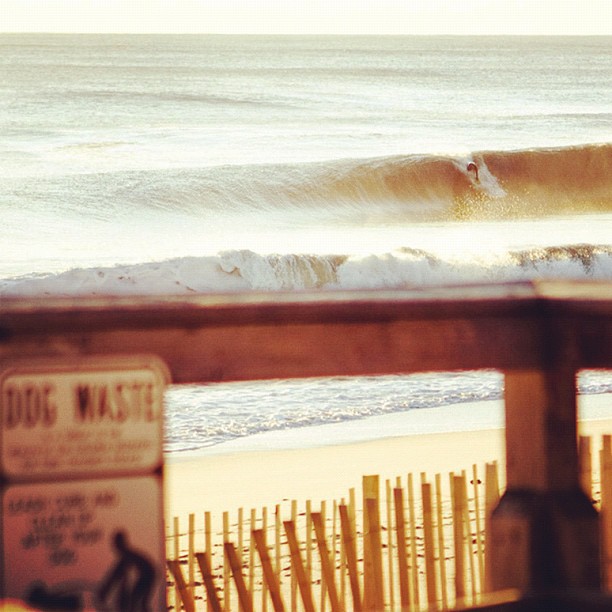 This is New Jersey gold. Morning light. Perfection.