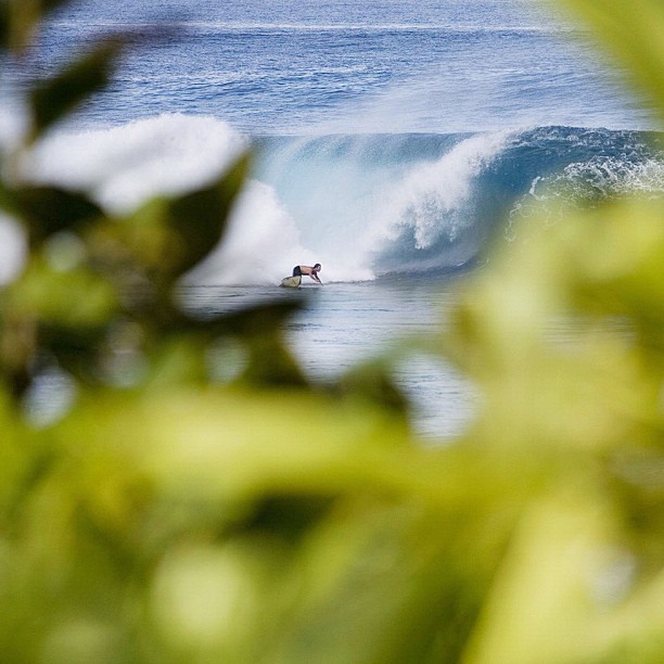 Unknown, Pipeline. Photo: Mike Smolowe
