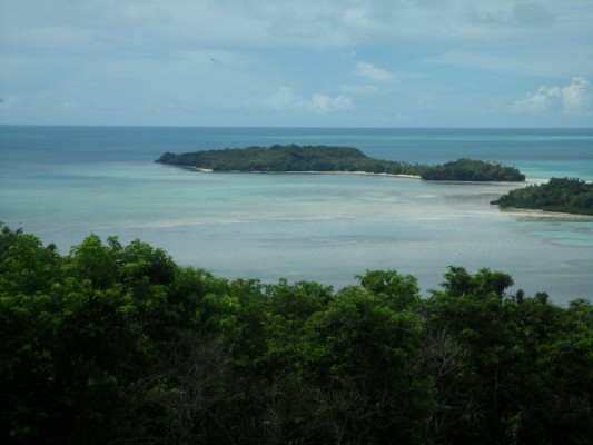 Rain Forests Surf Spots