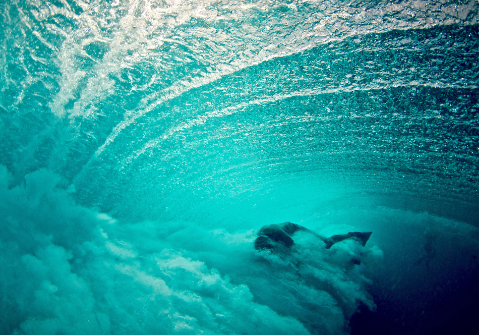 A photographer, a surfer and an avid waterman living the life aquatic, B.C. Laserwolf was swimming before he was walking.
