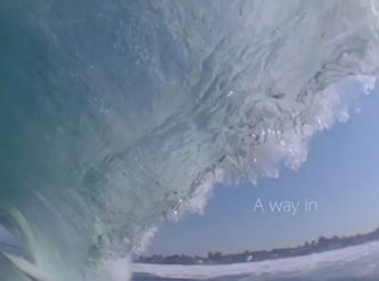 We speak from the perspective of surfers and non-surfers alike. From that of naturalists, conservationists, and environmentalists. From nature lovers and ocean lovers. From young and old. Scaled and finned. From all over the oceans, all around the globe.