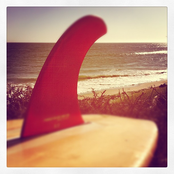 Longboard FIn