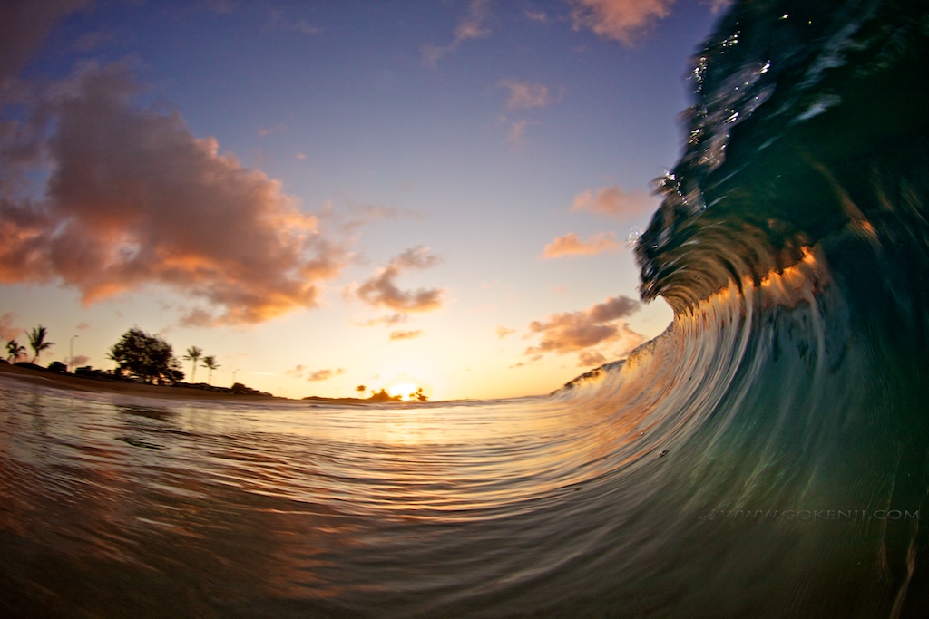 Jellyfish Wave. Photo: Kenji Croman