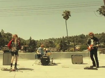 FIDLAR Fuck It Dog Life's a risk