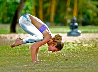 The crane pose in yoga, also known as the Bakasana, is a compact arm balancing posture that helps in strengthening the arms as well as the abdominal organs.