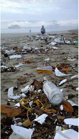 You've seen the ads. Pristine beach... not a speck of sand out of place... a cold beer sitting just out of reach... clean water as far as the eye can see.