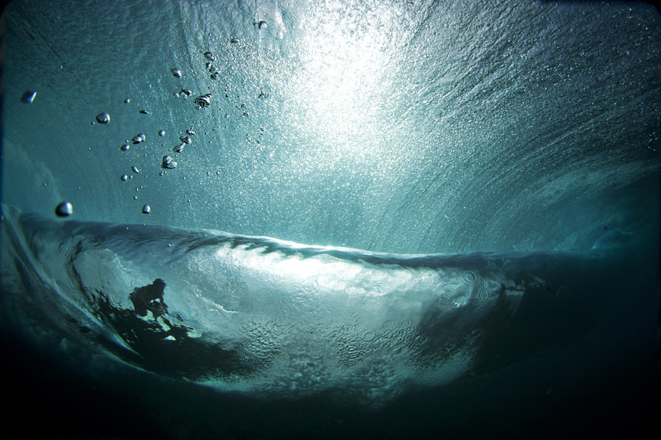 Sedated. Taken beneath the surface at Backdoor. Photo: Brent Beilmann