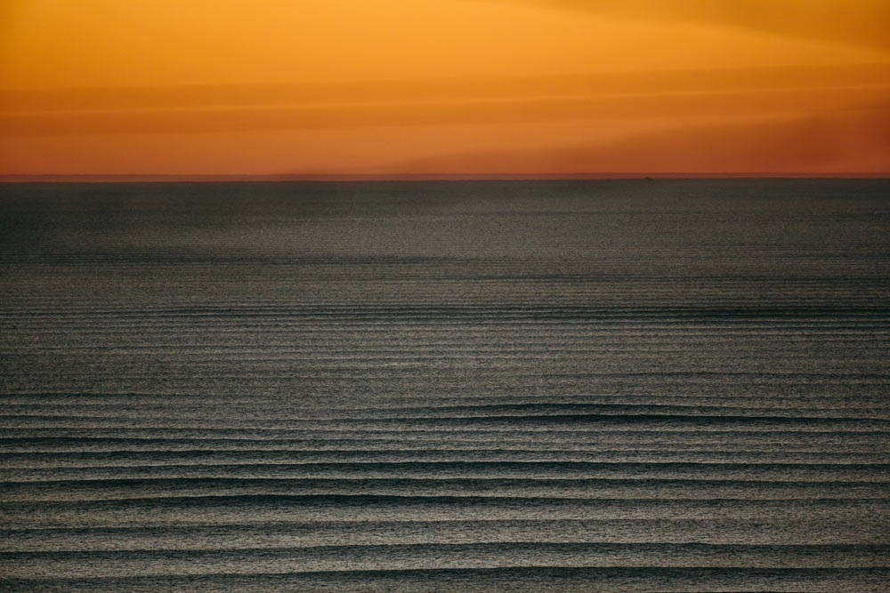 Corduroy. Photo: Jeremiah Klein