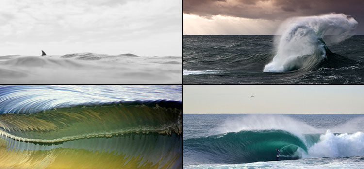 April's Ten Best Photos