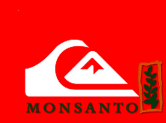 The majority of Roxy/Quiksilver and many other surf brands are produced with Indian cotton. And they are willingly engaging with a company who has years of calculated involvement with the very devil you wish to publicly and politically position yourself in opposition to.