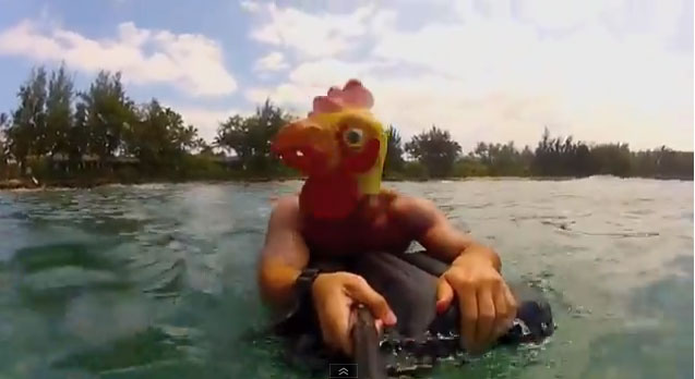 Bodysurfing in a chicken mask. What?