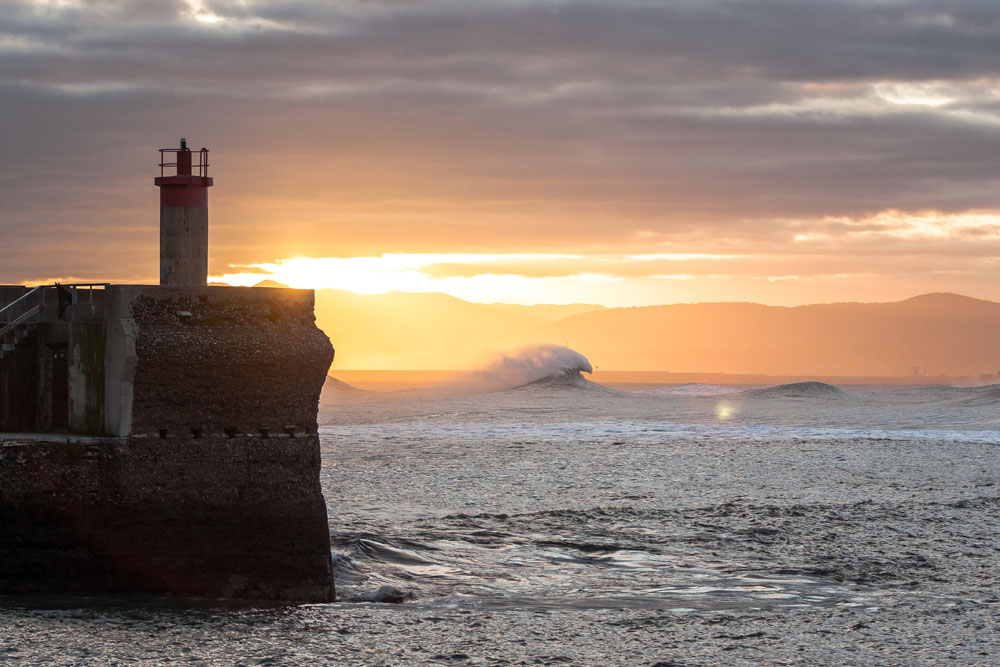 Pure Morning. Photo: Elmo Hernandez