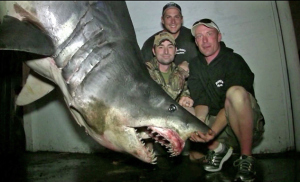 World Record Mako Shark Huntington Beach