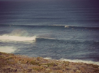 Three Bears, West australia, west oz, australia, perth, surfing, shark encounter, shark story, sharks