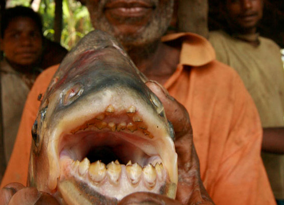 Don't. Swim. Naked. Photo: fishing.outdoorzy.com