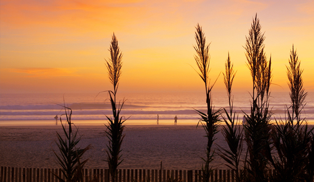 Learning to surf in the sunset of life. Image: Lucas Tozzi