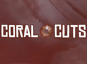 Coral Cuts is a series that features interviews with some of the Top 34 surfers. Episode 2 features such quotes from Parko like, "I'd rather a penis for a nose than a nose for a penis."