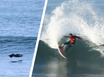 I make surf movies of some of the guys in our local scene down here in San Diego. A few weeks ago, a friend invited me to come up to Lowers and film the freesurfs that preceded the Hurley Pro. The result is this edit.