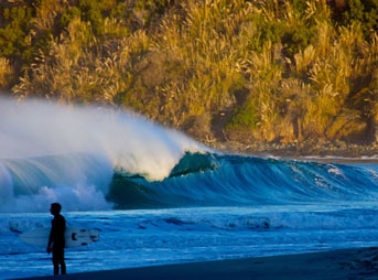 Imagine if this was illegal? Dana Point reeler. Photo: Quinn Matthews