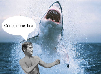 Jeff Horton, a Kauai surfer and former boxer, beat up a shark on Sunday morning. Horton and about ten others were surfing near Kilauea at Pila‘a Beach when a fin popped up.