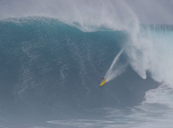 Jaws