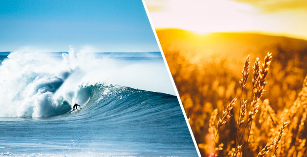 I think my goal, as well as many other photographers, is to share a thought that is driven by optimism. The possibilities for creativity through images based around our oceans can become endless. Photos: Colin Nearman
