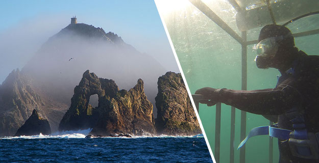 “Grab the camera. He’s going to get bit,” said James Moskito, the expedition leader aboard the Superfish. He was pointing at a small outcropping of rock just off South East Farallon Island, one part of a desolate, barren chain of windswept islands thirty miles west of San Francisco. Photos: Seth Migdail