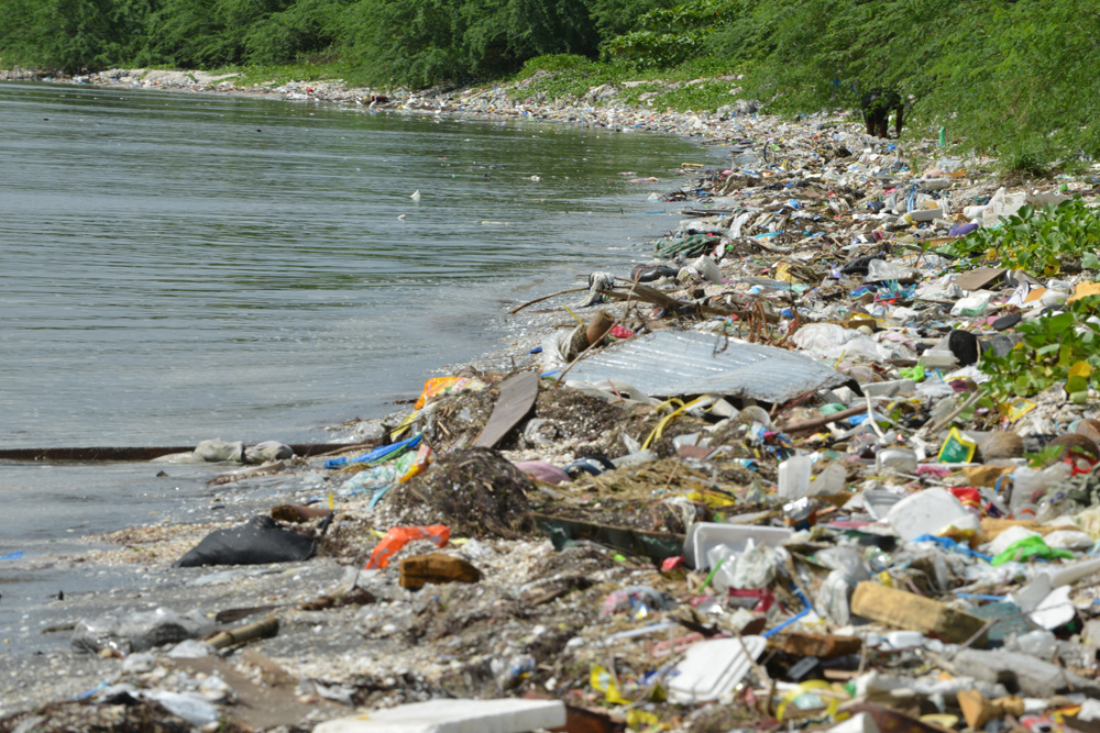 In a new film called Plastic Paradise, Angela Sun takes us on a journey and investigates the slow-motion disaster that is taking place right before our eyes.
