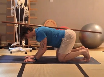 So why should you bother with the Horsestance? If you have ever experienced lower back pain or lumbo pelvic pain, then this exercise can work magic in helping you recondition your body back to health.