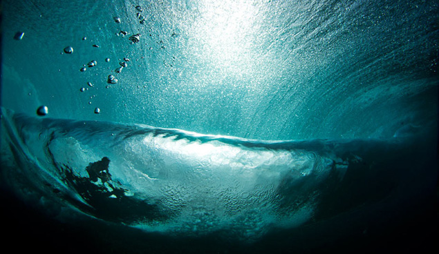 Sedated. Photo: Brian Bielmann