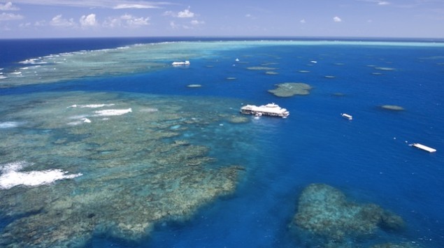 If the coal port is put into action, thousands of coal ships would pass through the Great Barrier Reef every year.  Green programs have coined it "environmental madness".  Photo: Shutterstock/Gary Yim