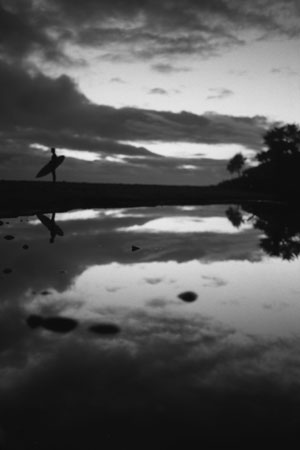 Photo: Will Adler