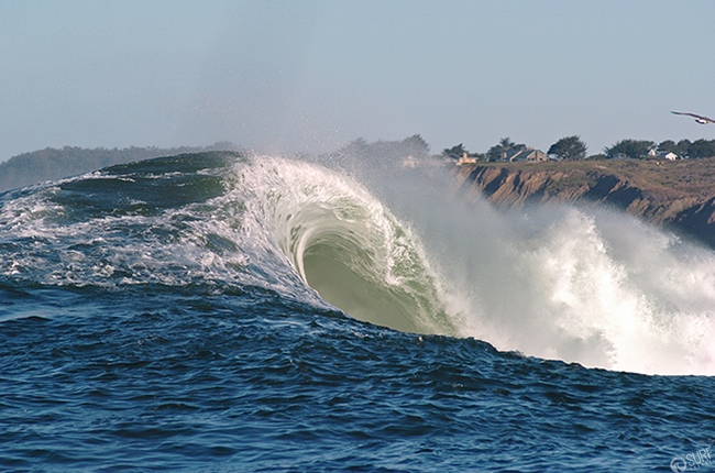 mavericks invitational, television, live, big wave world tour