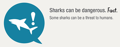 https://sharksmart.com.au/staying-safe/