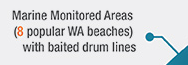 https://sharksmart.com.au/staying-safe/