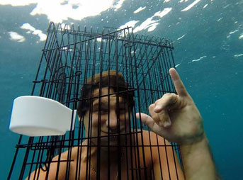The Mad Huey's are usually doing something kind of dumb. Hilarious, but dumb. When they decided to go cage diving with sharks, they couldn't have expected it to go smoothly – they were using a bird cage.